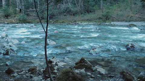 Fast River Current Flowing Through Rocky Forest Stream | 4K Nature Clip Stock Footage 312084750