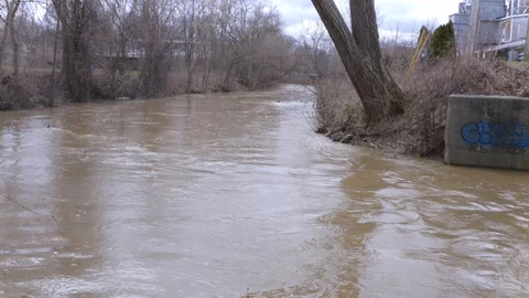 Fast River with Ducks 4K 動画素材 127614497