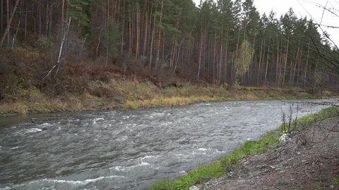Fast river flow in the forest Stock Footage 265016696