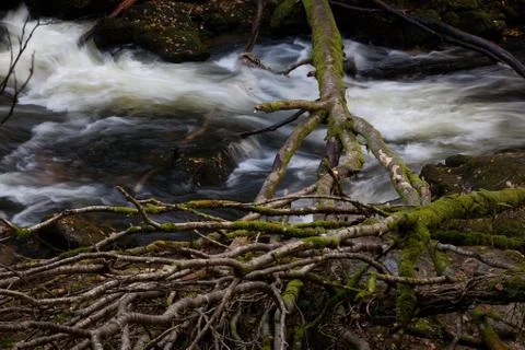 Fast river flow Stock Photos