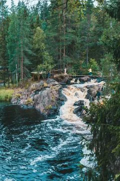 Fast river flows among the forest on a overcast. Stock Photos