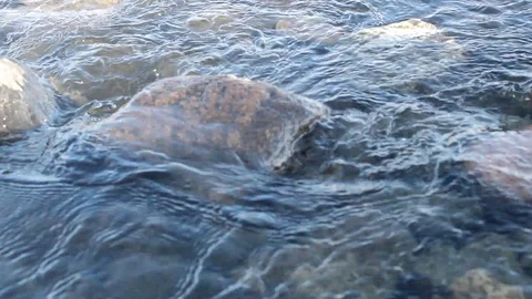 A fast river flows through boulders Stock Footage 126837527