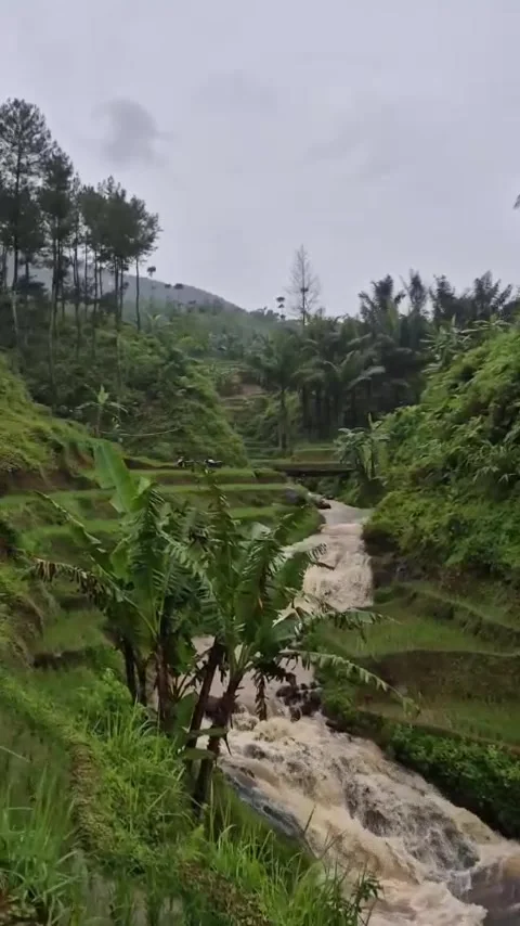 Fast river Stock Footage 307381173