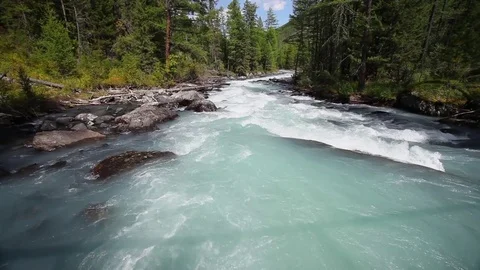 Fast River in the Forest PanDown Video stock 84042569