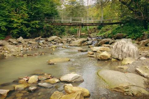 Fast river in the forest Stock Photos