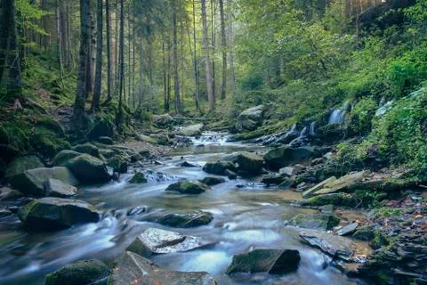 Fast river in the forest Stock Photos