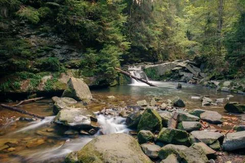 Fast river in the forest Stock Photos
