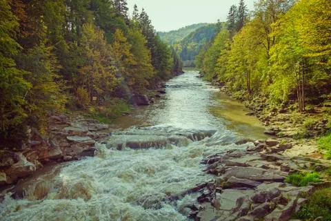 Fast river in the forest Stock Photos