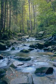 Fast river in the forest Stock Photos