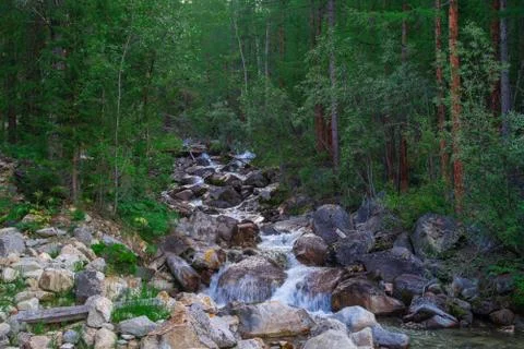 Fast river in a mountain forest with big rocks and stones at summer day Stock Photos