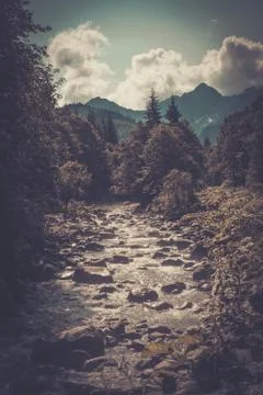 Fast river in a mountain forest Stock Photos