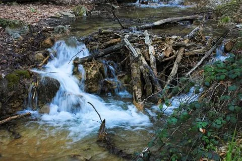 Fast river passing through the forest. Stock Photos