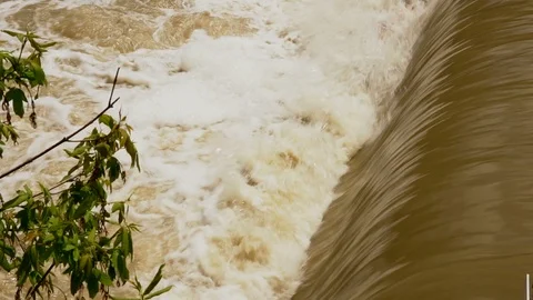 Fast  river rapids and floating log 스톡 동영상 87947531