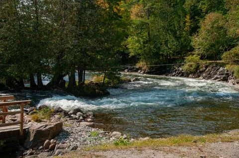 Fast River Rapids Flowing Through a Rocky Forested Shoreline Stock Photos