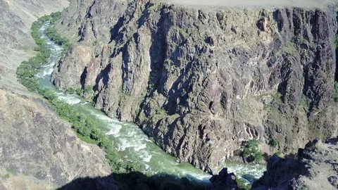 Fast river runs through a rocky canyon. On the banks of the river grow. Video stock 99764987