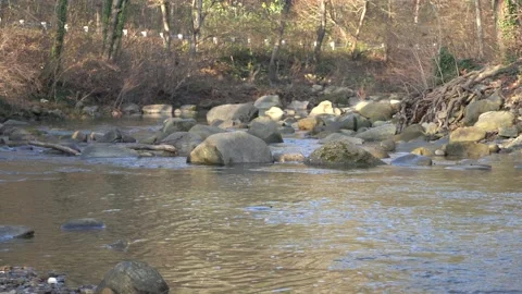 Fast river with small waterfalls. Mountain river seethes among stones and trees Stock Footage 167325811