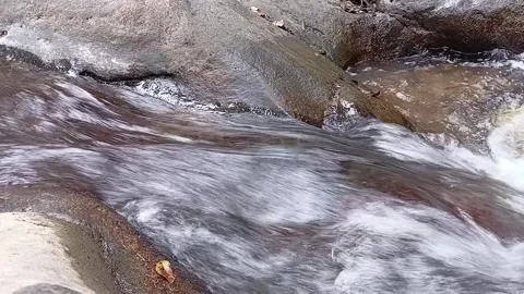 Fast River Stream Flowing over Rocks in Jungle - Full HD Nature Landscape Stock Footage 329086174