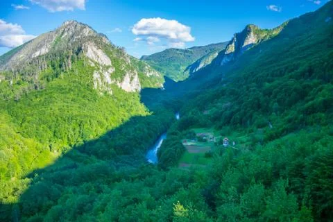 The fast river Tara flows at the bottom of the canyon. Stock Photos