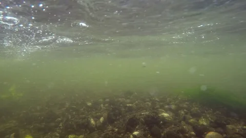 Fast river underwater view Stock Footage 80373543