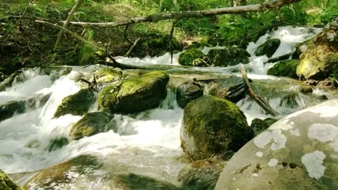 Fast River Water Flowing Between Rocks Stock Footage 314693521