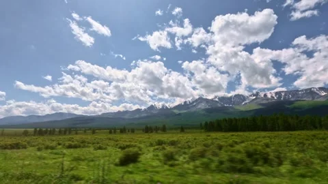 Fast off-road driving. View from the side window. We're driving through a green Stock Footage 331799350