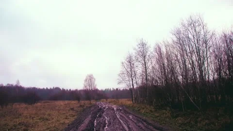 Fast off-road traffic in the forest with mud Video stock 225058727