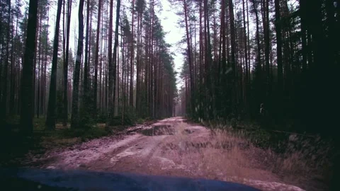 Fast off-road traffic in the forest with mud Stock Footage 225058765
