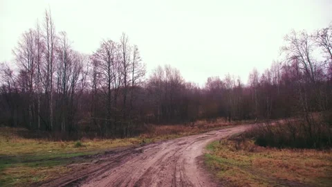 Fast off-road traffic in the forest with mud Stock Footage 225058797
