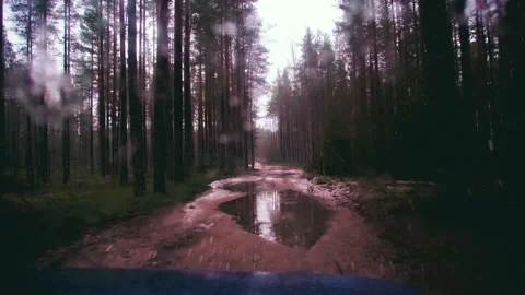 Fast off-road traffic in the forest with mud Stock Footage 225058834