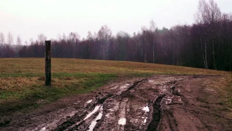 Fast off-road traffic in the forest with mud Stock Footage 225078354