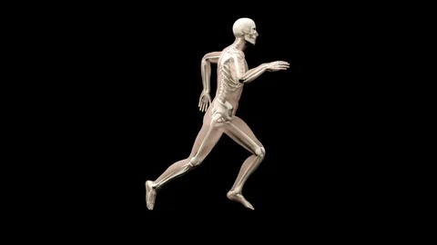 Fast Running Man With Visible Skeleton Stock Footage 86401850