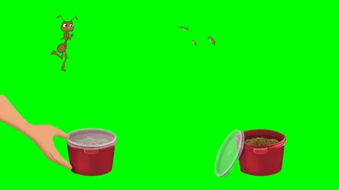 Fast running red ants and human hands interacting with plastic bucket 2d Stock Footage 334703216