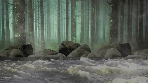 Fast running river against the backdrop of a mystical forest with fog Stock Footage 202248699