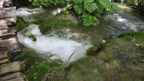 Fast running river from a waterfall and lakes forest Stock Footage 84941582