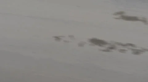 Fast running road Stock-Footage 38117298