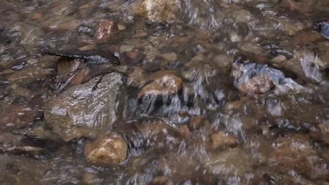 Fast running stream Stock Footage 88007636