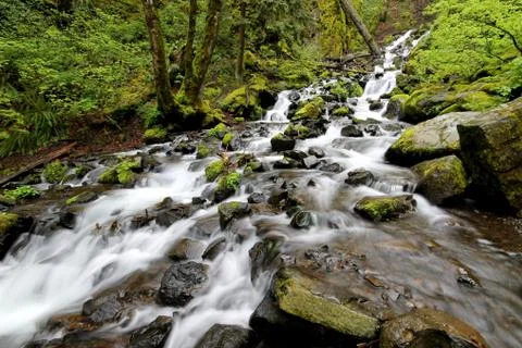 Fast Running Stream Stock Photos