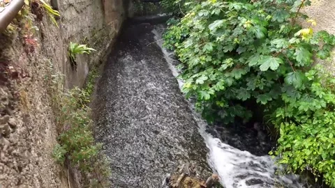 Fast Running Stream Water 1 Stock Footage 160486820