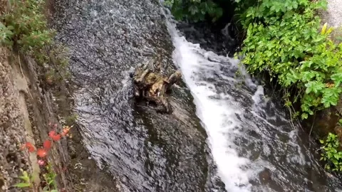 Fast Running Stream Water 2 Stock Footage 160486799
