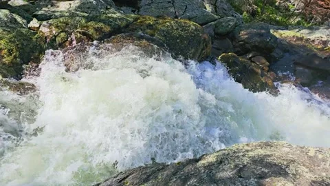 Fast rushing mountain river rapids flowing between large boulders in a forest Stock Footage 334600279