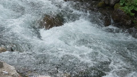 Fast rushing mountain stream with clear water flowing over rocks in forest Stock Footage 335129174
