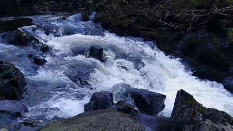 Fast rushing white water stream in slow motion Stock Footage 104752668