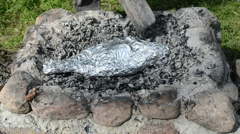 Fast scene man put huge fish wrapped foil put bonfire cinder Stock Footage 22489772