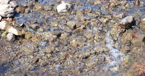 A fast shallow mountain stream with a rocky bottom. The concept of nature Stock Footage 195844811