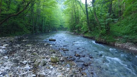 Fast shallow river flows along rocky bottom between trees Video stock 101676434