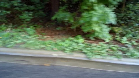 Fast Sidewalk View Of Grass Curb Cement And Trees Going By Stock Footage 121196679