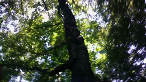 Fast Skyward 360 Pan Stock Footage 158763939