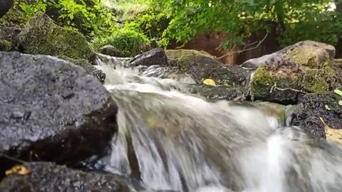 Fast small river 動画素材 160221716
