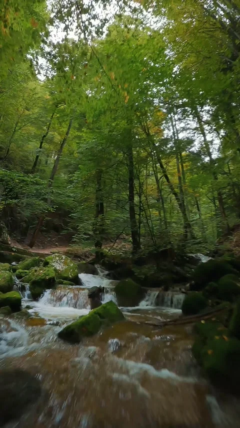 Fast smooth flight over a mountain river. Shot on FPV drone. Switzerland Stock Footage 220737677