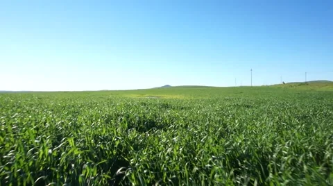 Fast spining drone flight over field near Cape Town Stock Footage 52135102